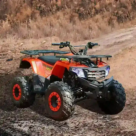 Квадроцикл WELS THUNDER AX 125