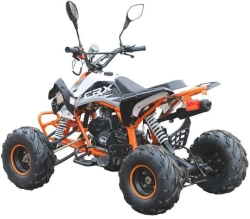 Квадроцикл MOTAX ATV T-Rex-LUX 125