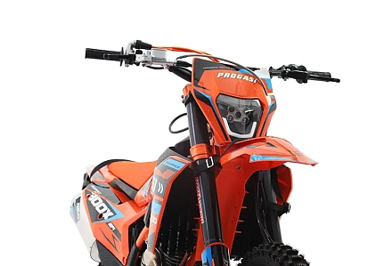 Мотоцикл Питбайк PROGASI Endurance 300X (YB300H)