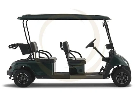 Гольфкар EWAY HM4