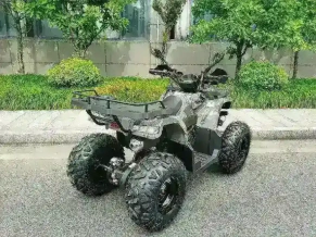 Квадроцикл MOTAX Grizlik T 200 LUX