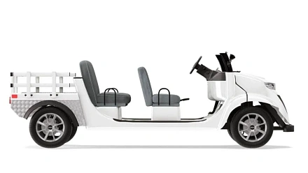 Гольфкар Elecar 5E-TIGARBO 4 Cabrio