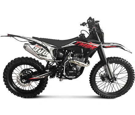 Мотоцикл TMBK Envy 300