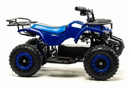 Электроквадроцикл Motoland ATV E008 800Вт