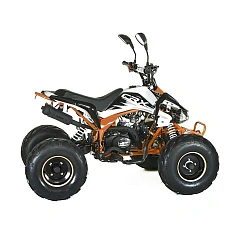 Квадроцикл MOTAX ATV T-Rex-LUX 50 сс, фото №5