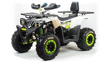 Квадроцикл Motoland 200 WILD TRACK LUX A