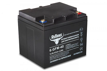 Тяговый гелевый аккумулятор RuTrike 6-GFM-40 (12V43A/H C20)