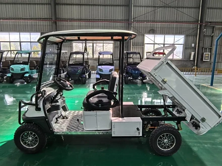 Электромобиль Гольфкар Green Camel Сонора A2C New (2+Cargo 2500W 130/90-10' литые) пониженная
