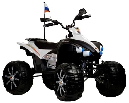 Детский электроквадроцикл Rivertoys P555PP