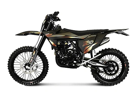 Мотоцикл TMBK Magnetic 300 PR