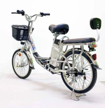 Электровелосипед Green Camel Транк-20 (R20 350W 48V) Алюм