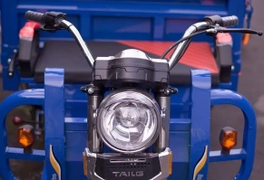 Электротрицикл TaiLG TL1000