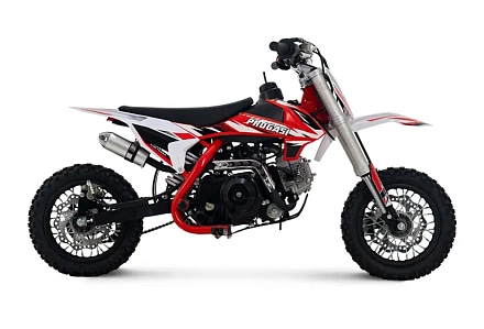 Мотоцикл Питбайк PROGASI Kids Power 110 (10/10) красный