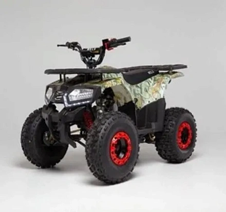 Квадроцикл WELS THUNDER E2 X