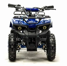 Электроквадроцикл Motoland ATV E009 1000W, фото №4