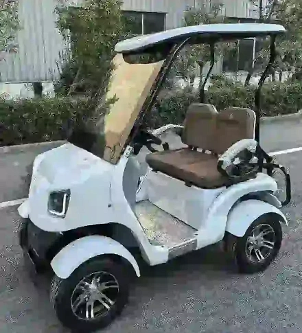 Гольфкар Green Camel Сонора A20 (2 seats 1800W 225/40-10' литые)