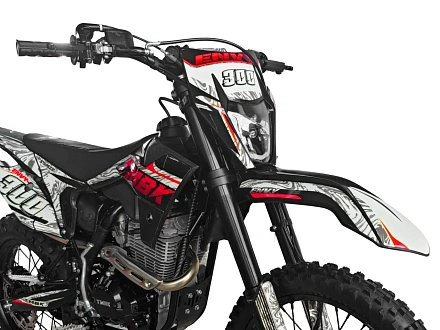 Мотоцикл TMBK Envy 300