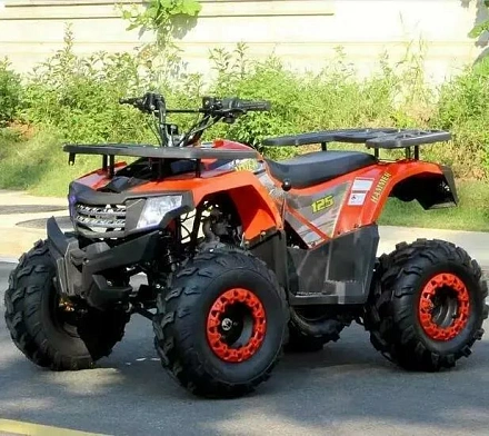 Квадроцикл WELS THUNDER AX 125