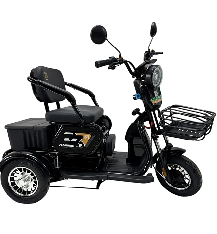 Электротрицикл Green Camel GT Фродо EV3 (60V 1200W R8) дифференциал
