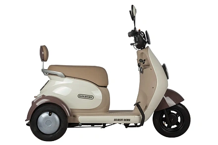 Электротрицикл Gelbert Ogma 48V/60V 650Вт