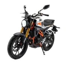 Мотоцикл Motoland 501 (172FMM-5/PR250)