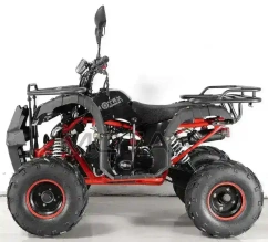 Квадроцикл MOTAX ATV Grizlik-7 50 cc