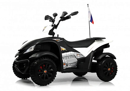Детский электроквадроцикл Rivertoys P333PP