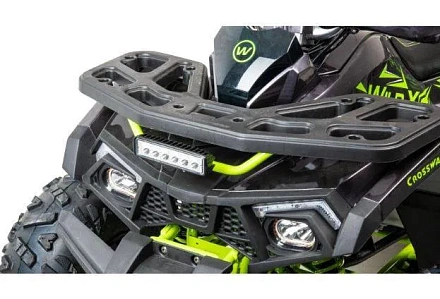 Квадроцикл Motoland (п) 125 WILD X PRO (2022 г.)