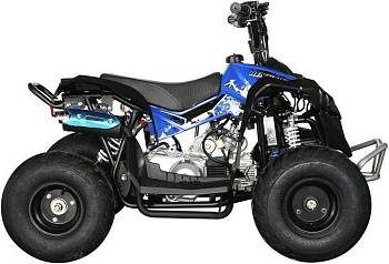 Детский квадроцикл бензиновый Motax ATV CAT 110, фото №0