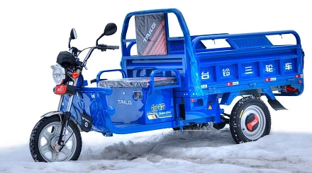 Электротрицикл TaiLG TL800