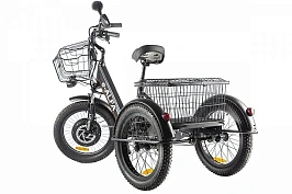 Электротрицикл Green City e-ALFA Trike, фото №5