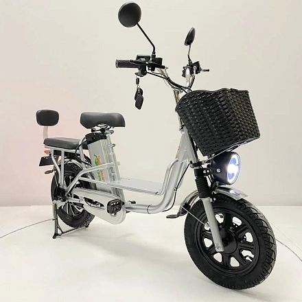 Электровелосипед Green Camel Транк Монстр (R16FAT 800W 48V15Ah) гидравлика