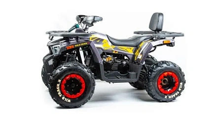 Квадроцикл Motoland 200 WILD TRACK X (баланс. вал)