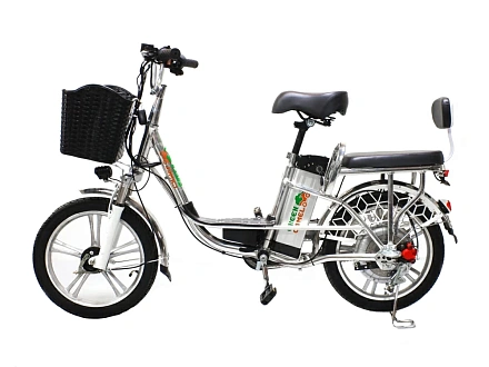 Электровелосипед Green Camel Транк-18 V2 (R18 250W)