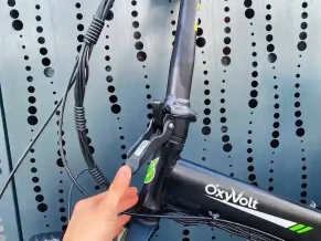 Электровелосипед OxyVolt FAT 20 double 2 GW