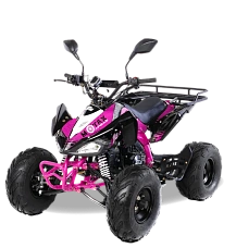 Квадроцикл MOTAX ATV T-Rex-LUX 50 сс, фото №3