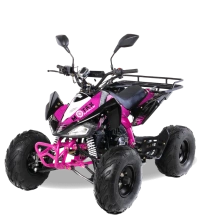 Квадроцикл MOTAX ATV T-Rex-LUX 50 сс