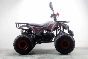Квадроцикл MOTAX ATV Grizlik Premium 125cc