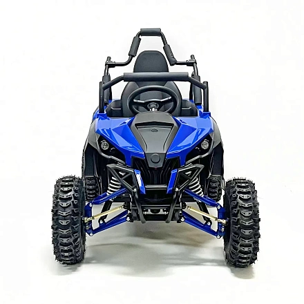 Багги Green Camel Намиб T008 (48V 1200W R6 Дифф) аморт