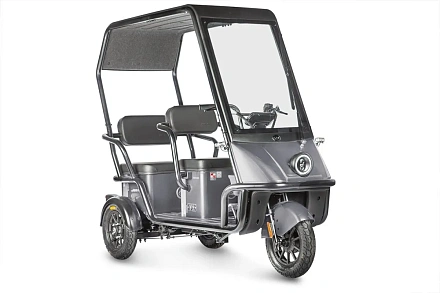 Электротрицикл Wanshida NIPLA 500 60V 1000Вт