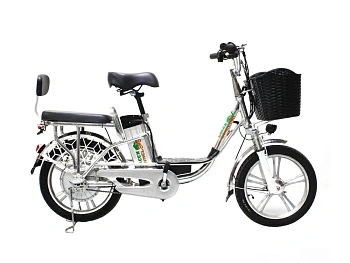 Электровелосипед Green Camel Транк-18 V2 (R18 250W)