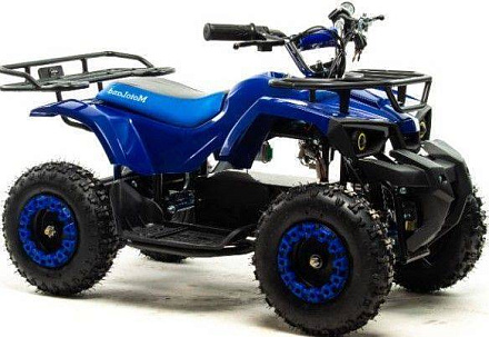 Электроквадроцикл Motoland ATV E009 1000W