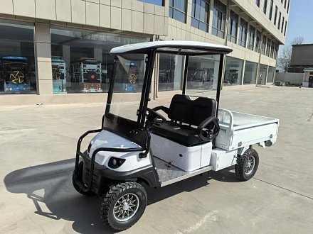 Электромобиль Гольфкар Green Camel Сонора A2C New (2+Cargo 2500W 130/90-10' литые) пониженная