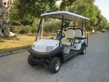 ГОЛЬФКАР Voltus CLUB 4+2