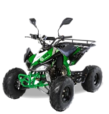 Квадроцикл MOTAX ATV T-Rex Super LUX 50 сс, фото №2