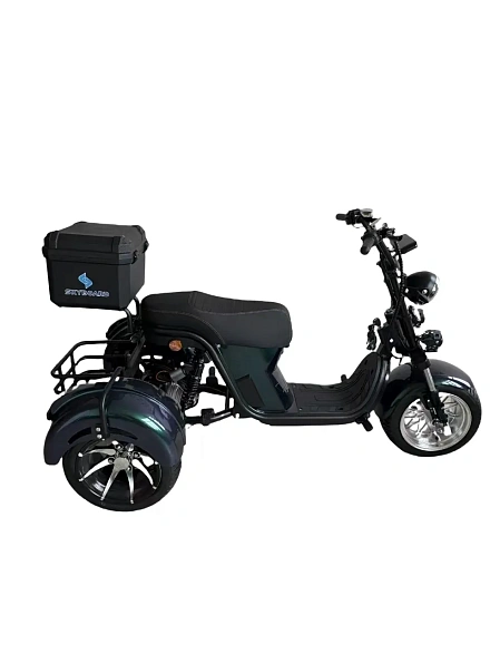 Электроскутер SKYBOARD CITYCOCO MyRussia BR60 3000W с корзиной