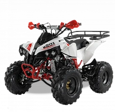 Квадроцикл MOTAX ATV Raptor Super LUX 50 сс, фото №4