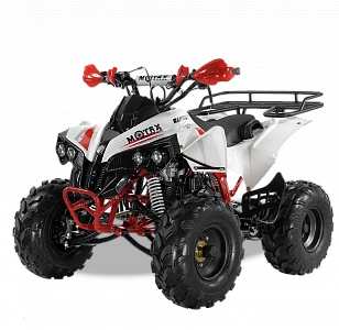 Квадроцикл MOTAX ATV Raptor Super LUX 125 cc, фото №1
