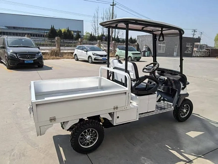 Электромобиль Гольфкар Green Camel Сонора A2C New (2+Cargo 2500W 130/90-10' литые) пониженная