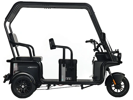 Электротрицикл Wanshida NIPLA 570 60V 1000Вт